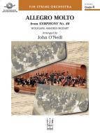 Allegro molto from Symphony No. 40 