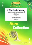A Musical Journey Standard