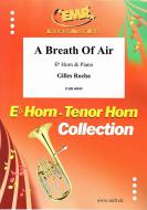A Breath Of Air Standard