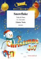 Snowflake Download