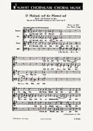 O Heiland, reiß die Himmel auf op. 51 Download