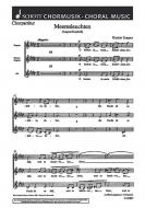 Meeresleuchten Download