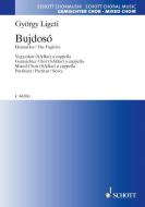Bujdosó - Bedrückung Download