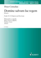 Domine salvum fac regem Download