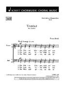 Zwei heitere Männerchöre Nr. 2 Download