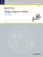 Adagio Elegiaco and Rondo Download