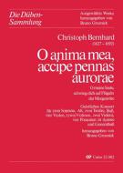 O anima mea, accipe pennas aurorae 