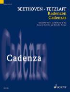 Cadenzas Download