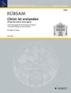 Christ the Lord is Risen Again! Download