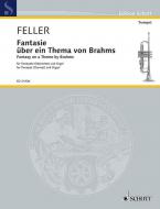 Fantasy on a Theme by Brahms Download