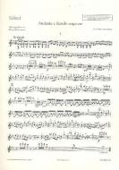 Andante and Rondo Ungarese Download