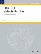 Meine dunklen Hände Download