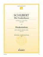 Der Lindenbaum / Heidenröslein für tiefe Stimme Download