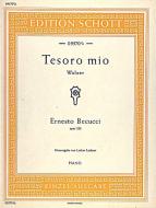 Tesoro Mio D Major Op. 228 Download