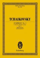 Sinfonie Nr. 2 c-Moll op. 17 CW 22 Download