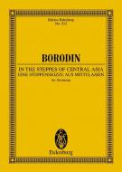 Eine Steppenskizze aus Mittelasien Download