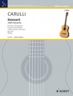 Concerto E Minor Op. 140 Download