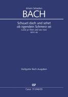 Mira y verás BWV 46 Download