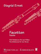Facetten Download
