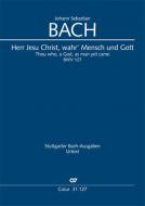 Herr Jesu Christ, wahr' Mensch und Gott Download