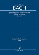 Erwünschtes Freudenlicht Download