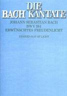 Erwünschtes Freudenlicht Download