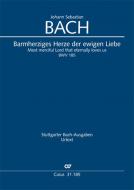 Barmherziges Herze der ewigen Liebe Standard
