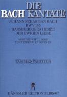 Barmherziges Herze der ewigen Liebe 