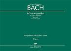 Johannes-Passion BWV 245 