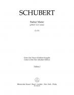 Stabat Mater in G minor D 175 