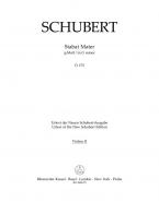 Stabat Mater in G minor D 175 