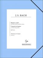 Konzert a-moll BWV 1041 