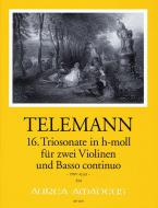 16. Triosonate in h-moll TWV 42:h5 