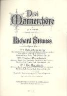 Three Male Choruses Op. 45 No. 3: Der Brauttanz Download