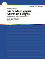 Five Poems by Friedrich Rückert Op. 46/1 Download
