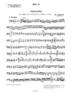 Gradus ad Symphoniam Mittelstufe 2 Standard