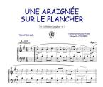Une araignée sur le plancher 