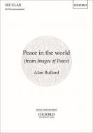 Peace in the world 