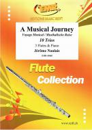 A Musical Journey Standard