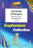 The Realm Of Dragons Standard