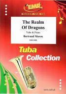The Realm Of Dragons Standard