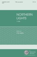 Northern Lights 