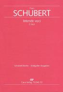 Intende voci D963 