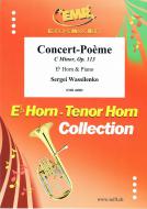 Concert-Poème C Minor, Op. 113 Download