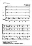 Fußreise Standard