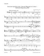 Slavonic Rhapsody in G minor op. 45/2 