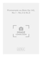 Promenade Au Bois Op. 143 Nr. 1 