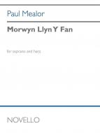 Morwyn Llyn y Fan 