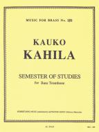 Semester Of Studies 