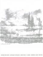Catalogue d'Oiseaux Vol. 4-7 